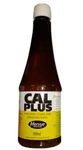 Cal-Plus